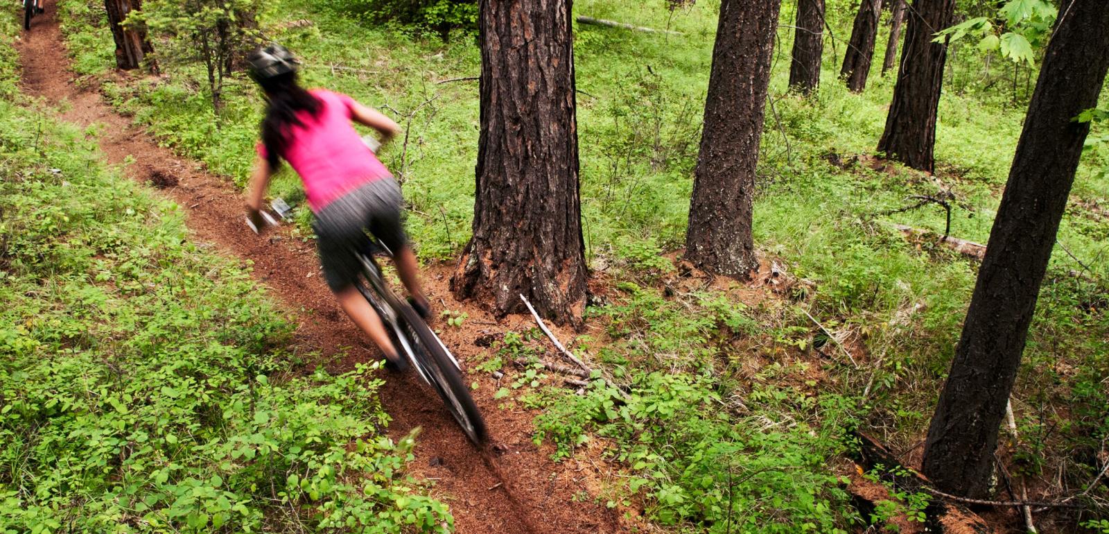 trail network