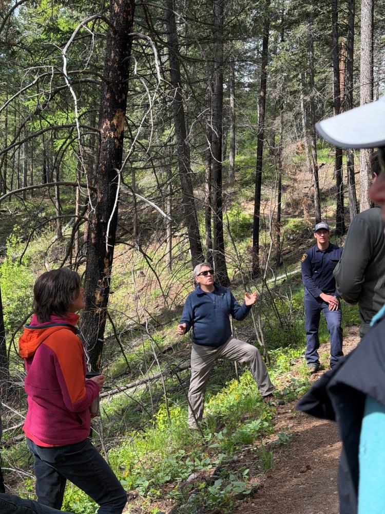 explaining burn area