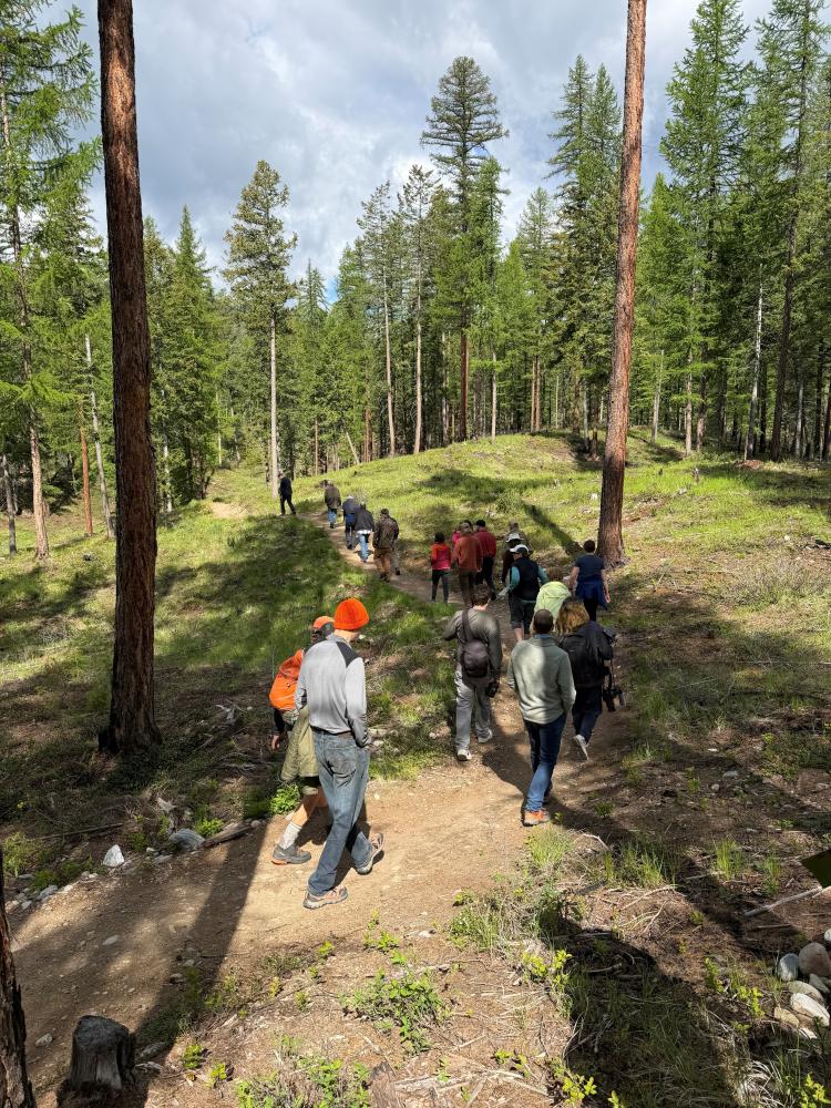 easy walk through trail